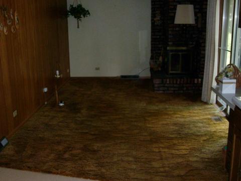 825 Martin Dr, Elgin, IL 60120 photo 9