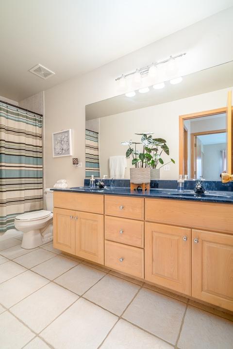 24508 Brooklands Ln, Plainfield, IL 60585 photo 23