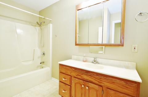 1275 Union St, Morris, IL 60450 photo 22