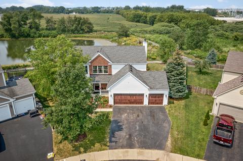 11291 Devon Ct, Huntley, IL 60142 photo 23