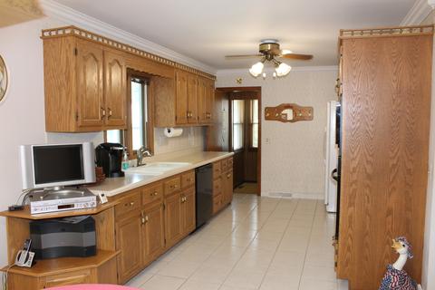 26058 S Chestnut Rd, Monee, IL 60449 photo 10