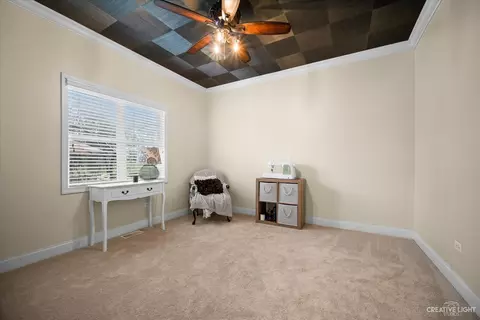 25403 W Alison Dr, Plainfield, IL 60586 photo 16
