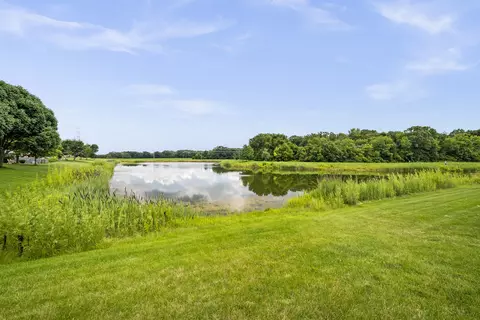 1206 Switchgrass Ct, Minooka, IL 60447 photo 6