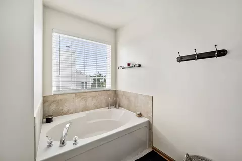 1206 Switchgrass Ct, Minooka, IL 60447 photo 22