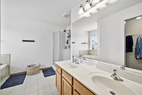 1206 Switchgrass Ct, Minooka, IL 60447 photo 21