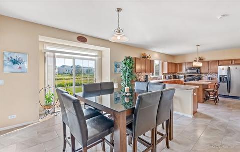 11271 Devon Ct, Huntley, IL 60142 photo 16
