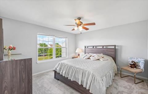 11271 Devon Ct, Huntley, IL 60142 photo 22