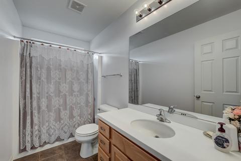 291 Sonora Dr, Elgin, IL 60124 photo 23