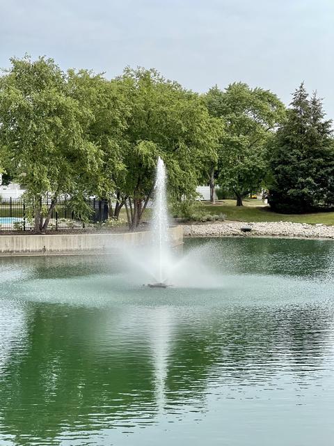 1650 Timber Trl #C, Wheaton, IL 60189 photo 15