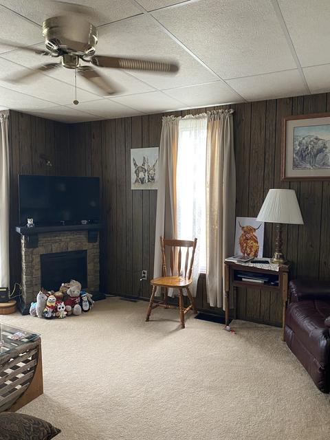 103 Maple St, Elliott, IL 60933 photo 9