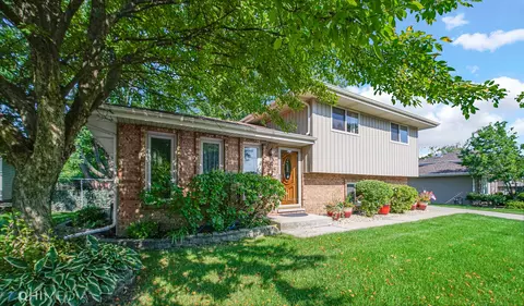 19106 Darla Trl, Mokena, IL 60448 photo 1