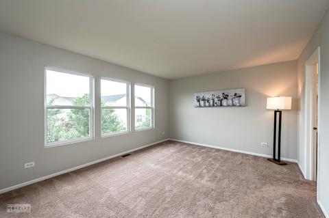 24506 Champion Dr, Plainfield, IL 60585 photo 17