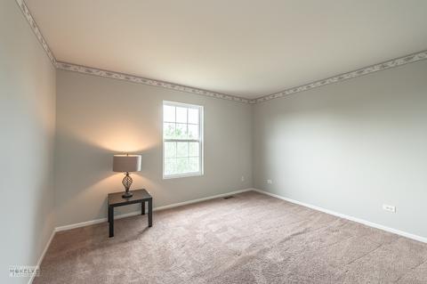 24506 Champion Dr, Plainfield, IL 60585 photo 22