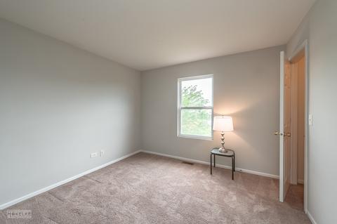 24506 Champion Dr, Plainfield, IL 60585 photo 19