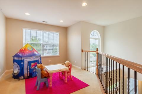 2019 Torino Dr, Elgin, IL 60123 photo 14