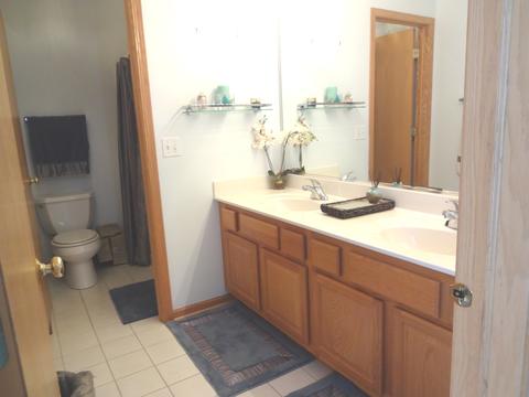 701 Meadow Dr, Des Plaines, IL 60016 photo 24