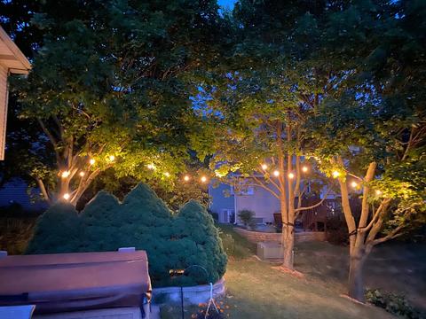 295 Windsor Dr, Bartlett, IL 60103 photo 40