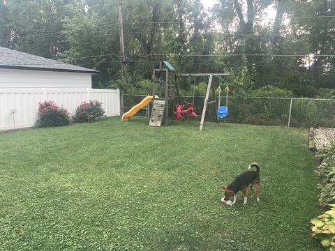 12855 E Playfield Dr, Crestwood, IL 60445 photo 24