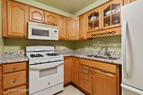 1285 E Washington St #2, Des Plaines, IL 60016 photo 3