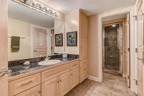8253 Greystone Ct, Burr Ridge, IL 60527 photo 49