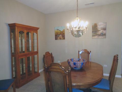 2837 Cascade Falls Cir, Elgin, IL 60124 photo 11