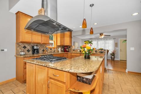 231 N Elroy Ave, Bartlett, IL 60103 photo 7