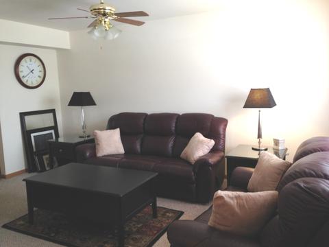 3316 Union Ave, Steger, IL 60475 photo 7