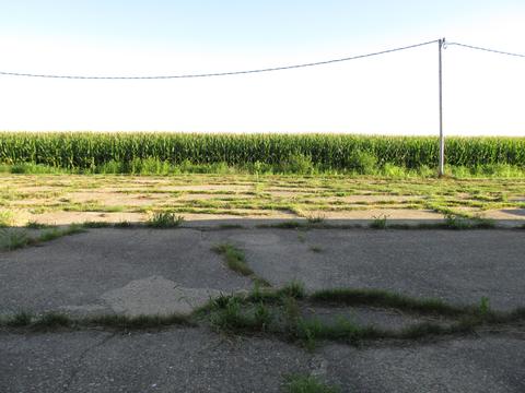 846 Harmon Rd, Harmon, IL 61042 photo 27