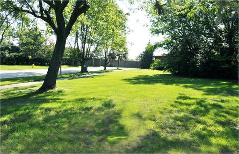 454 E Webster Ave, Elmhurst, IL 60126 photo 36