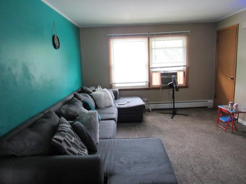 1437 E 155th Pl, Dolton, IL 60419 photo 3