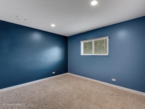 650 Audubon St, Hoffman Estates, IL 60169 photo 19