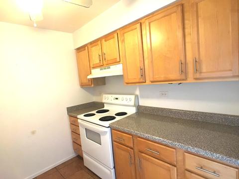 4529 Prescott Ave #2E, Lyons, IL 60534 photo 3