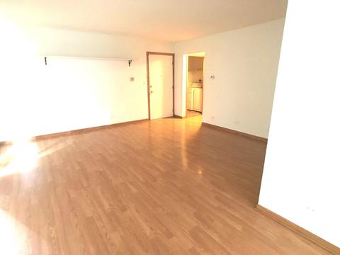 4529 Prescott Ave #2E, Lyons, IL 60534 photo 2