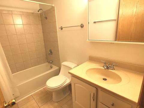 4529 Prescott Ave #2E, Lyons, IL 60534 photo 7