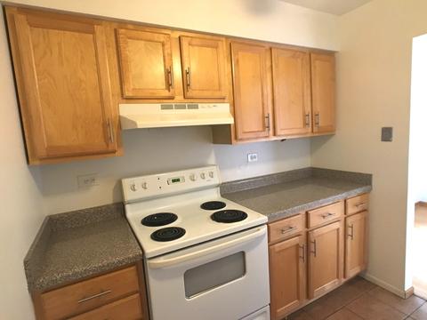 4529 Prescott Ave #2E, Lyons, IL 60534 photo 4