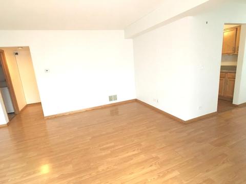 4529 Prescott Ave #2E, Lyons, IL 60534 photo 8