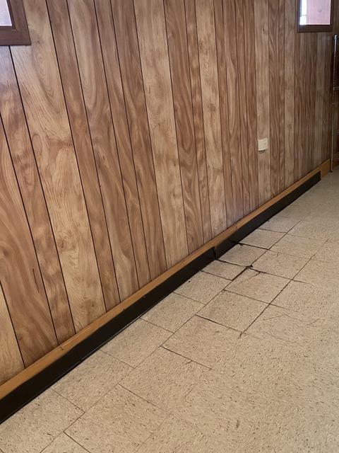 115 E 83rd St, Chicago, IL 60619 photo 36
