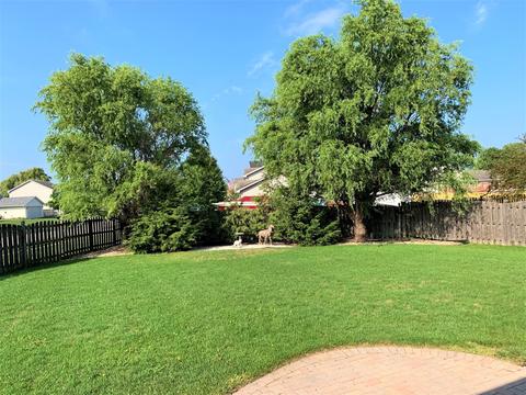 603 Cartwright Trl, Mchenry, IL 60050 photo 23