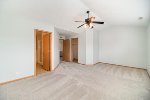 24204 Walnut Cir, Plainfield, IL 60585 photo 10