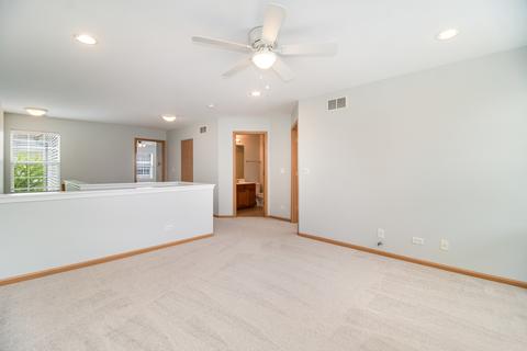 24204 Walnut Cir, Plainfield, IL 60585 photo 19