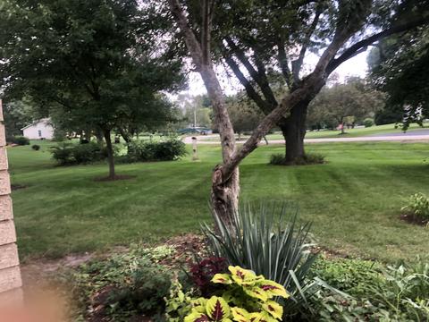 38 W566 Arrowmaker Pass, Elgin, IL 60124 photo 25