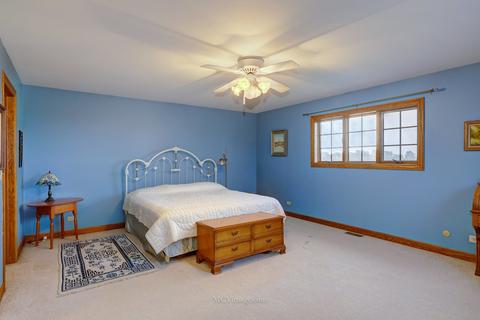 8282 Old Ridge Rd, Plainfield, IL 60544 photo 31