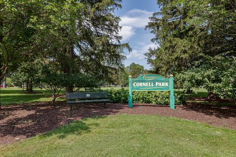 282 Cornell Ave, Des Plaines, IL 60016 photo 18