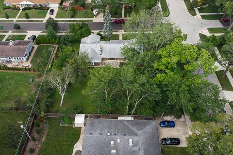 282 Cornell Ave, Des Plaines, IL 60016 photo 4