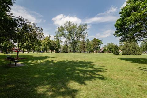 282 Cornell Ave, Des Plaines, IL 60016 photo 19