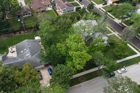 282 Cornell Ave, Des Plaines, IL 60016 photo 3