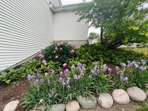 1587 Mccormack Dr, Hoffman Estates, IL 60169 photo 25