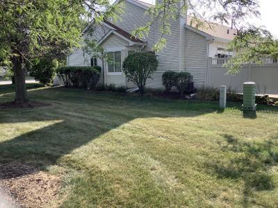 21300 Douglas Ln, Plainfield, IL 60544 photo 6