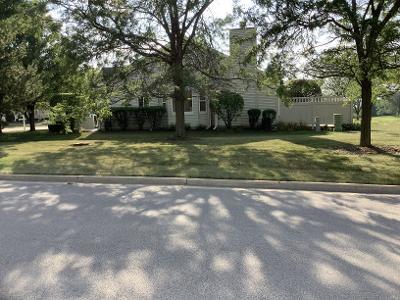 21300 Douglas Ln, Plainfield, IL 60544 photo 7