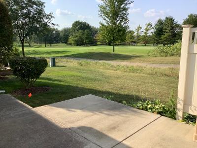 21300 Douglas Ln, Plainfield, IL 60544 photo 9